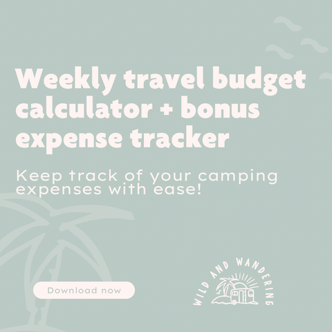Weekly budget calculator and expense tracker